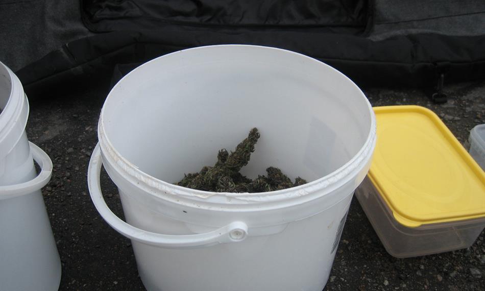 2013-4-10-1046foto Marihuana 21.jpg